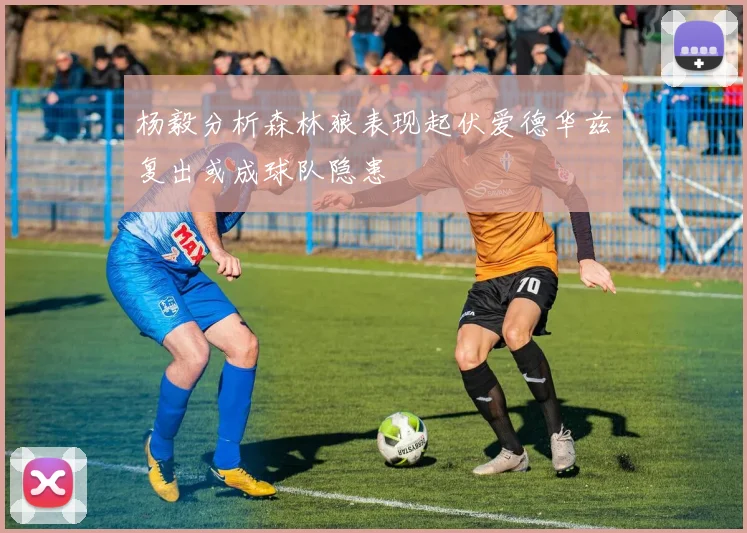 杨毅分析森林狼表现起伏爱德华兹复出或成球队隐患